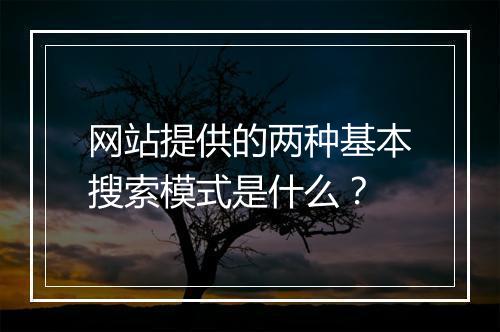 网站提供的两种基本搜索模式是什么？