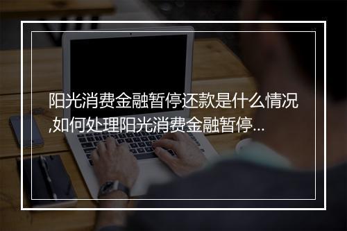 阳光消费金融暂停还款是什么情况,如何处理阳光消费金融暂停还款