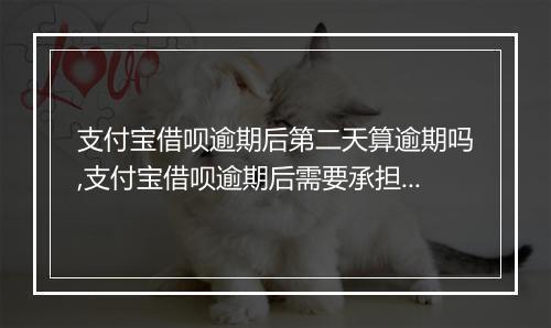支付宝借呗逾期后第二天算逾期吗,支付宝借呗逾期后需要承担什么后果