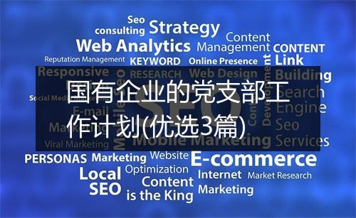 国有企业的党支部工作计划(优选3篇)