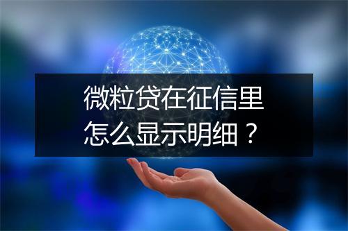 微粒贷在征信里怎么显示明细？