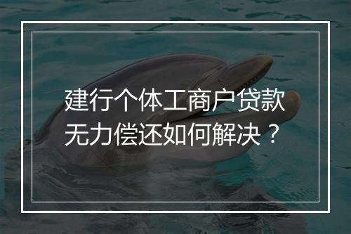 建行个体工商户贷款无力偿还如何解决？