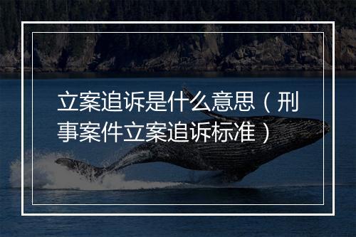 立案追诉是什么意思（刑事案件立案追诉标准）