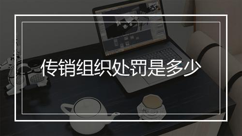 传销组织处罚是多少