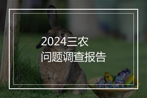 2024三农问题调查报告