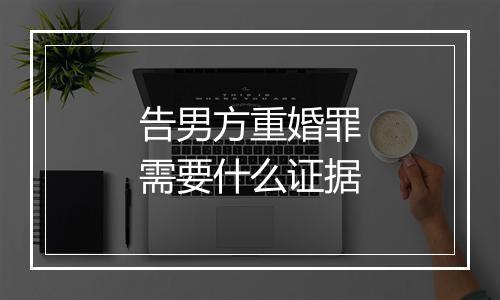 告男方重婚罪需要什么证据