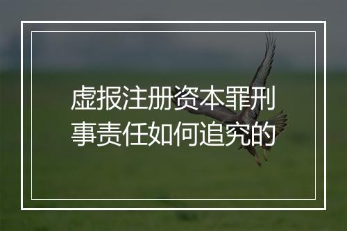 虚报注册资本罪刑事责任如何追究的