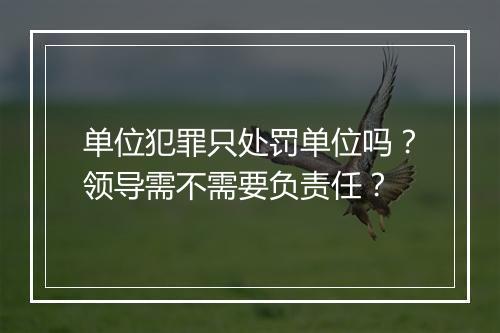 单位犯罪只处罚单位吗？领导需不需要负责任？