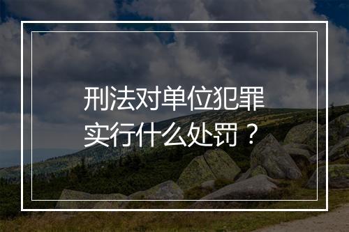 刑法对单位犯罪实行什么处罚？