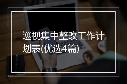 巡视集中整改工作计划表(优选4篇)