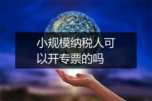 小规模纳税人可以开专票的吗