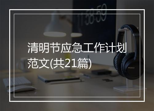 清明节应急工作计划范文(共21篇)