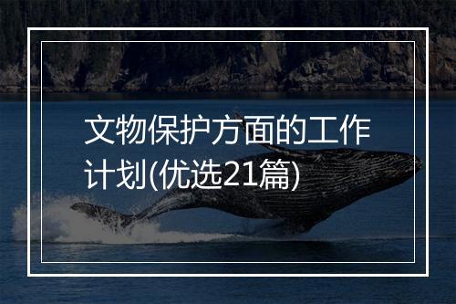 文物保护方面的工作计划(优选21篇)