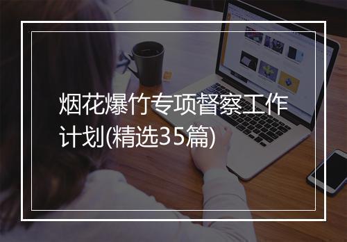 烟花爆竹专项督察工作计划(精选35篇)