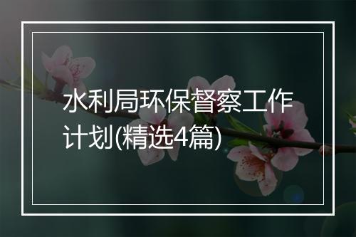 水利局环保督察工作计划(精选4篇)