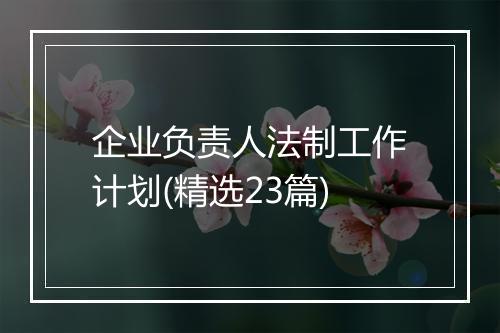 企业负责人法制工作计划(精选23篇)