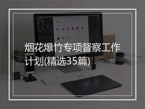 烟花爆竹专项督察工作计划(精选35篇)