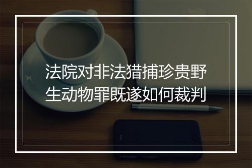 法院对非法猎捕珍贵野生动物罪既遂如何裁判