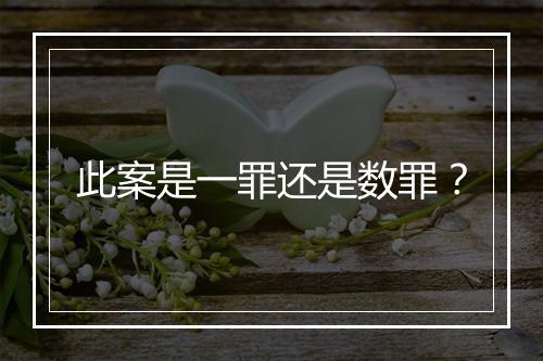 此案是一罪还是数罪？