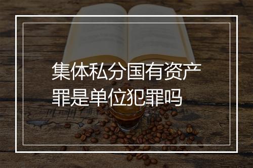 集体私分国有资产罪是单位犯罪吗