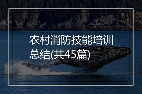 农村消防技能培训总结(共45篇)