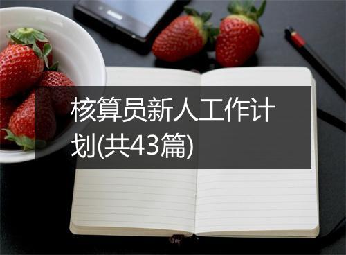 核算员新人工作计划(共43篇)