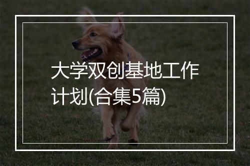 大学双创基地工作计划(合集5篇)