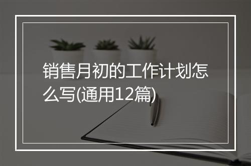销售月初的工作计划怎么写(通用12篇)