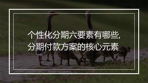个性化分期六要素有哪些,分期付款方案的核心元素