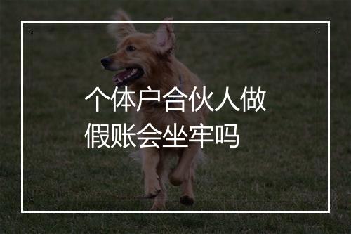 个体户合伙人做假账会坐牢吗