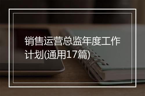 销售运营总监年度工作计划(通用17篇)