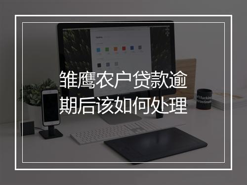 雏鹰农户贷款逾期后该如何处理