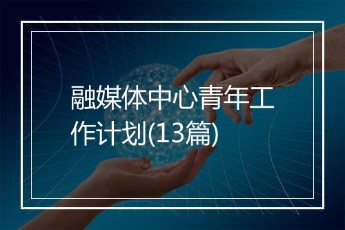 融媒体中心青年工作计划(13篇)