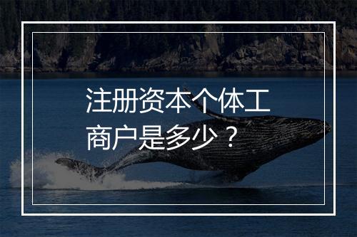 注册资本个体工商户是多少？