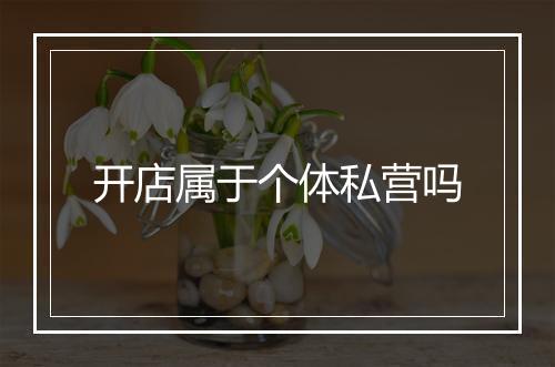 开店属于个体私营吗