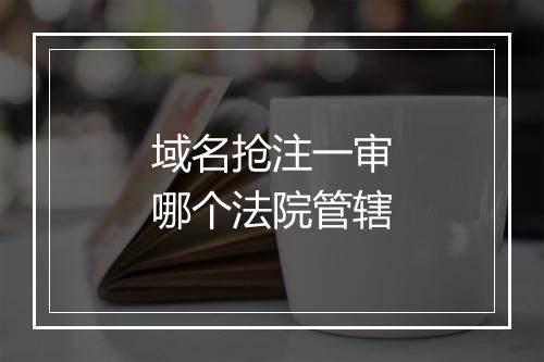 域名抢注一审哪个法院管辖