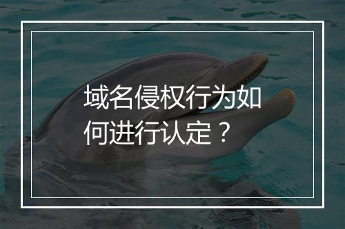 域名侵权行为如何进行认定？
