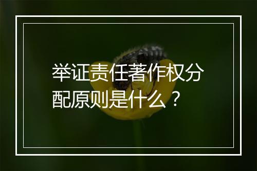 举证责任著作权分配原则是什么？