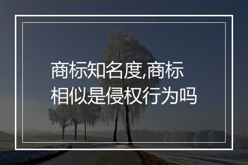 商标知名度,商标相似是侵权行为吗