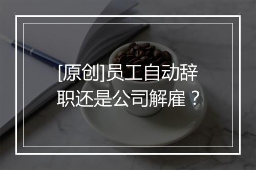 [原创]员工自动辞职还是公司解雇？