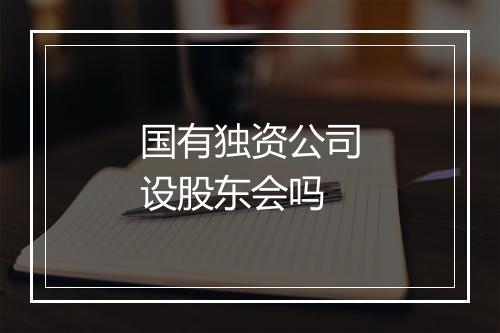 国有独资公司设股东会吗