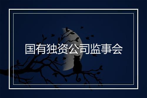 国有独资公司监事会