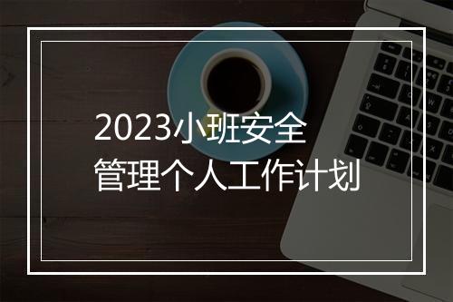 2023小班安全管理个人工作计划