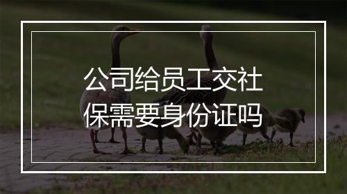 公司给员工交社保需要身份证吗