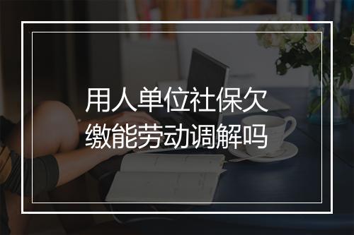 用人单位社保欠缴能劳动调解吗