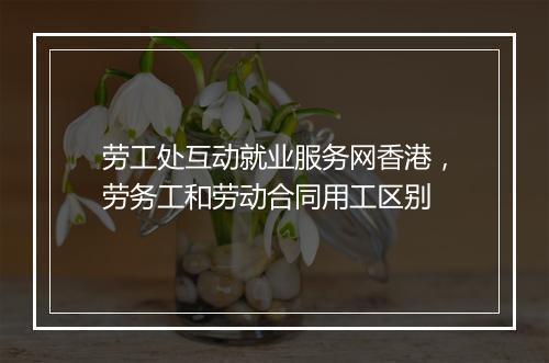 劳工处互动就业服务网香港，劳务工和劳动合同用工区别