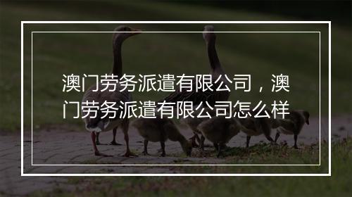 澳门劳务派遣有限公司，澳门劳务派遣有限公司怎么样