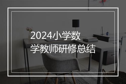 2024小学数学教师研修总结