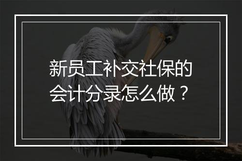 新员工补交社保的会计分录怎么做？