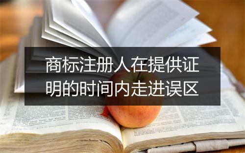 商标注册人在提供证明的时间内走进误区